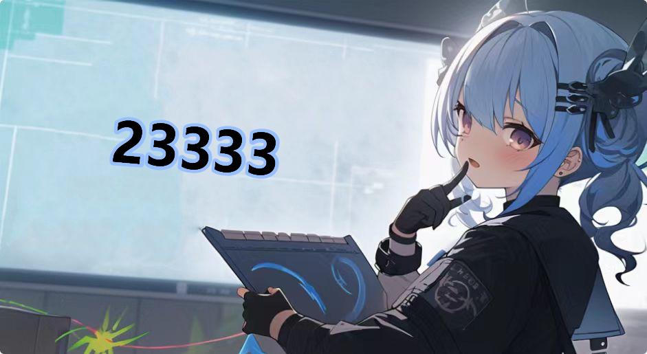 23333