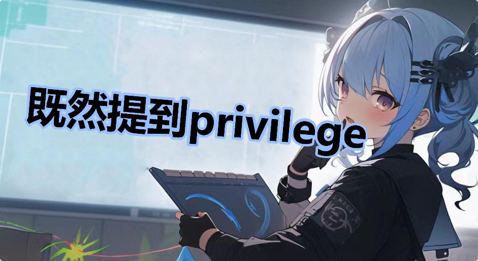 既然提到privilege