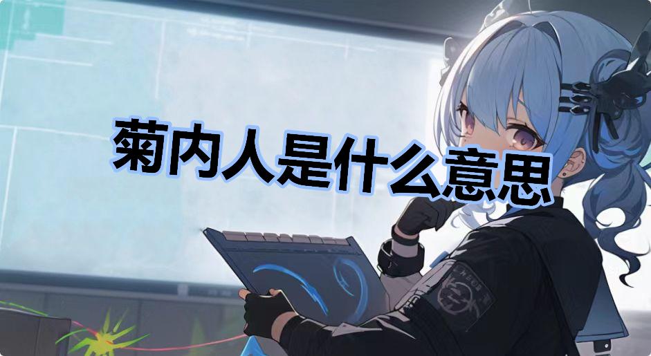 菊内人是什么意思什么梗