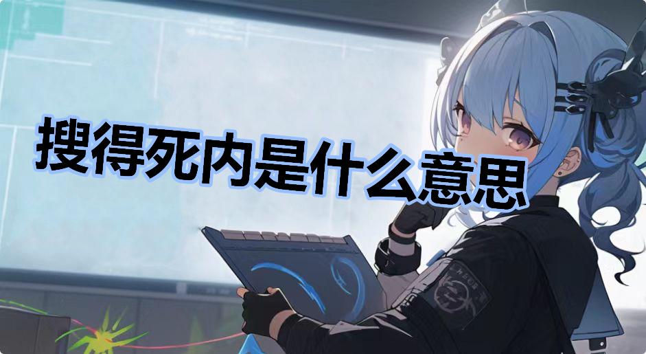 搜得死内是什么意思什么梗