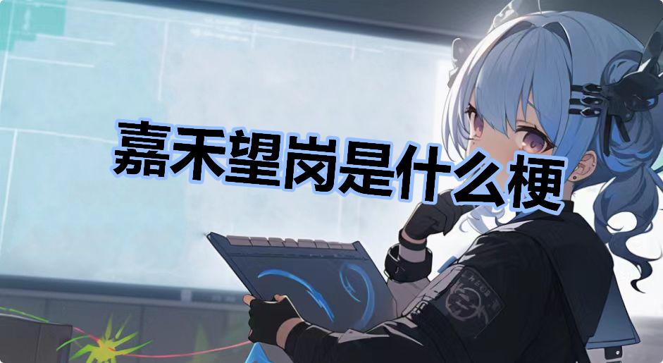 嘉禾望岗是什么梗什么梗