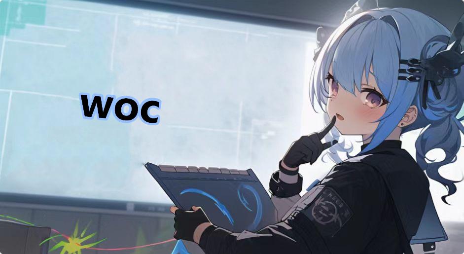 woc什么梗