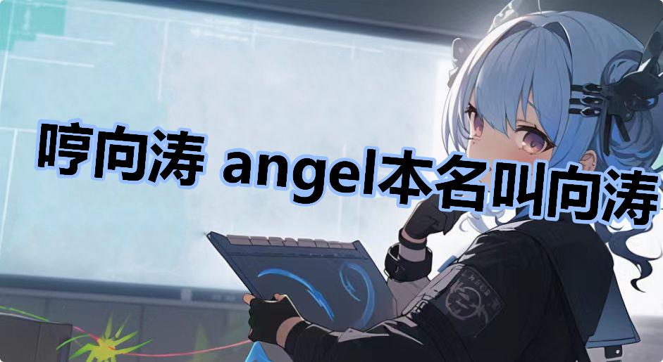 哼向涛 angel本名叫向涛