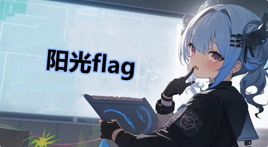 阳光flag