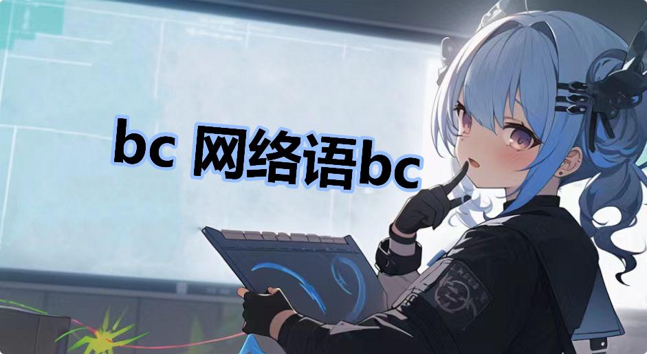 bc 网络语bc