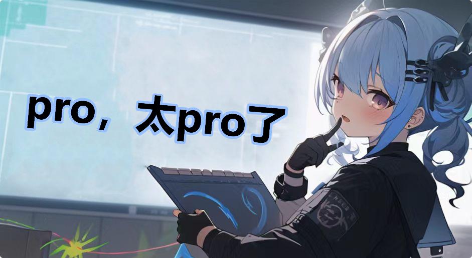 pro，太pro了