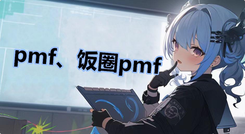 pmf、饭圈pmf