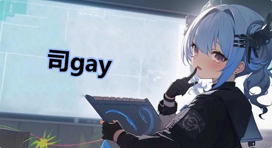 司gay