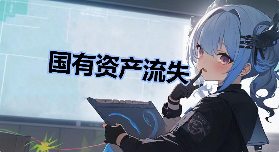 国有资产流失