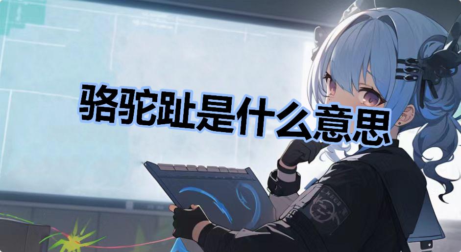 骆驼趾 