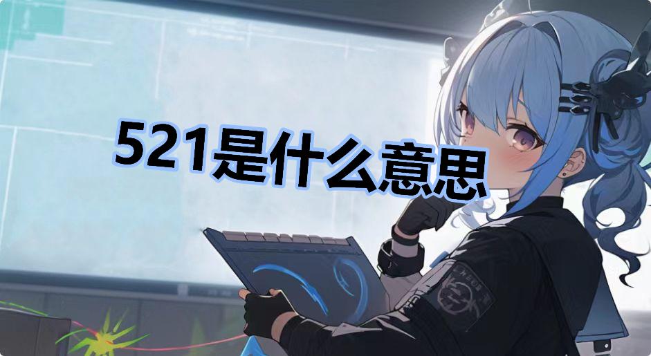 521是什么意思