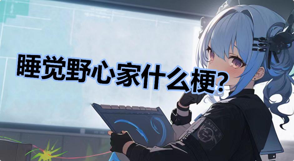 睡觉野心家什么梗？
