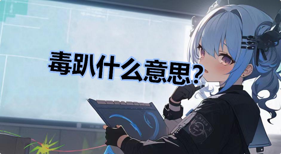 毒趴什么意思？
